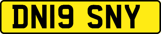 DN19SNY