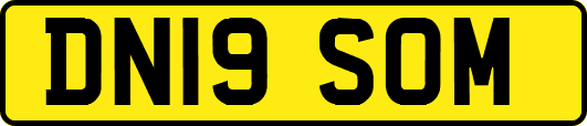 DN19SOM