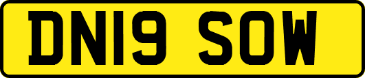 DN19SOW