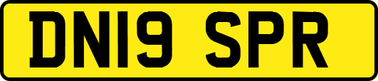 DN19SPR