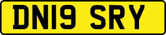 DN19SRY