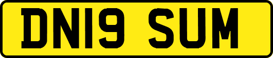 DN19SUM