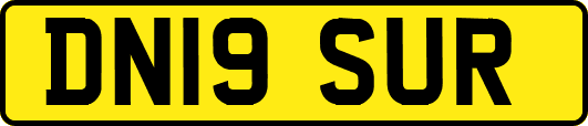 DN19SUR