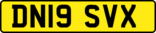 DN19SVX
