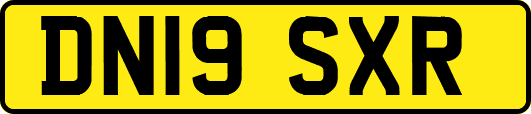 DN19SXR
