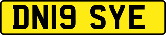 DN19SYE