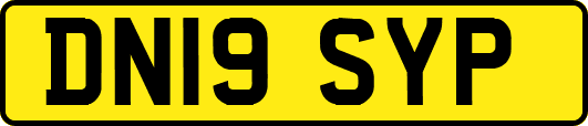 DN19SYP