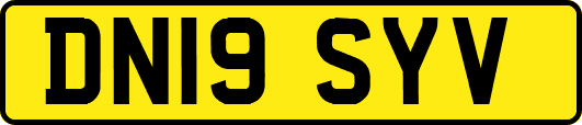 DN19SYV