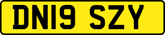 DN19SZY
