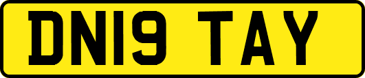 DN19TAY