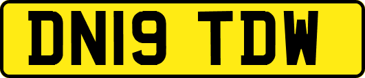 DN19TDW