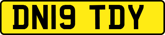 DN19TDY