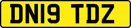 DN19TDZ