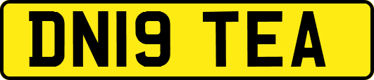 DN19TEA