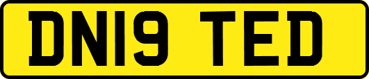 DN19TED