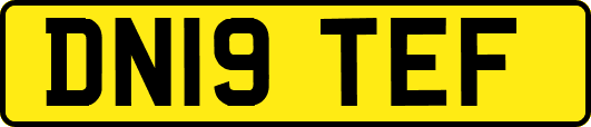 DN19TEF