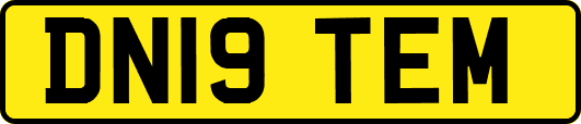 DN19TEM