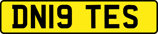 DN19TES