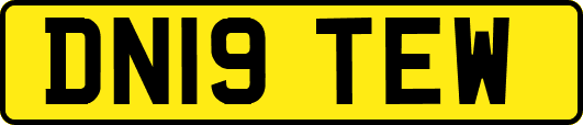 DN19TEW