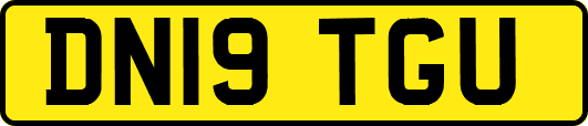 DN19TGU