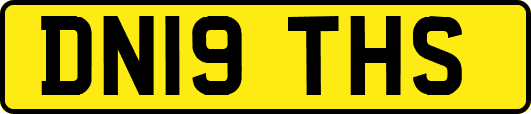 DN19THS