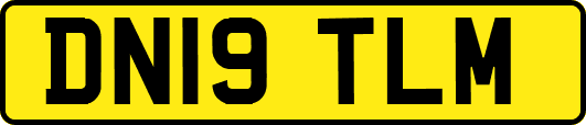 DN19TLM