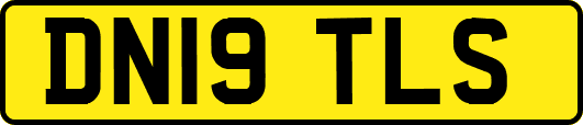 DN19TLS