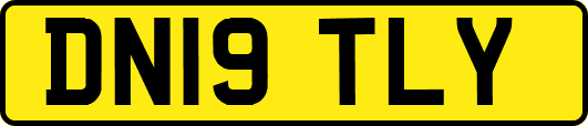 DN19TLY