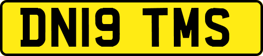 DN19TMS