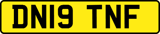 DN19TNF