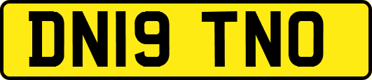 DN19TNO
