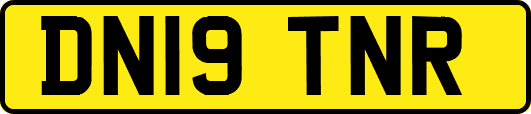DN19TNR