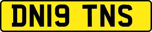 DN19TNS