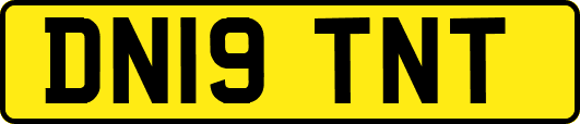 DN19TNT