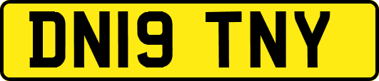 DN19TNY