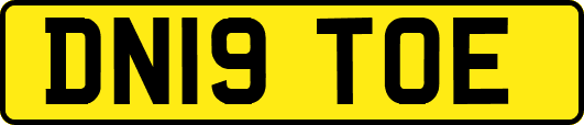 DN19TOE