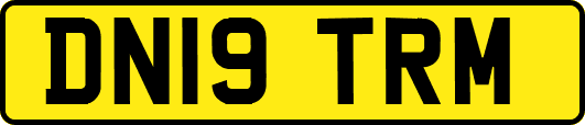 DN19TRM