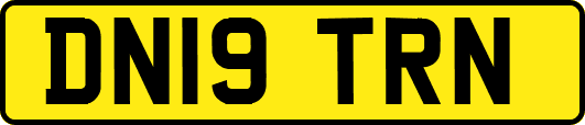 DN19TRN