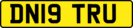 DN19TRU