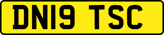 DN19TSC