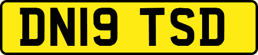 DN19TSD