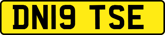 DN19TSE