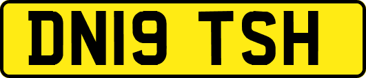 DN19TSH