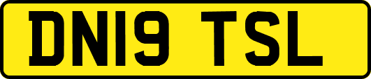 DN19TSL