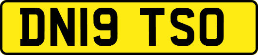 DN19TSO