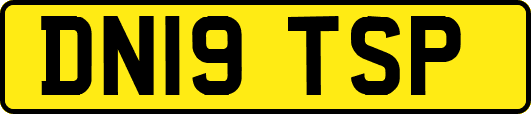 DN19TSP