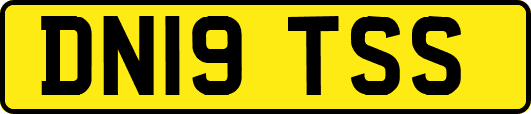 DN19TSS