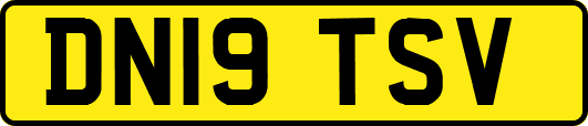 DN19TSV