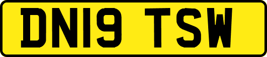 DN19TSW