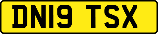 DN19TSX
